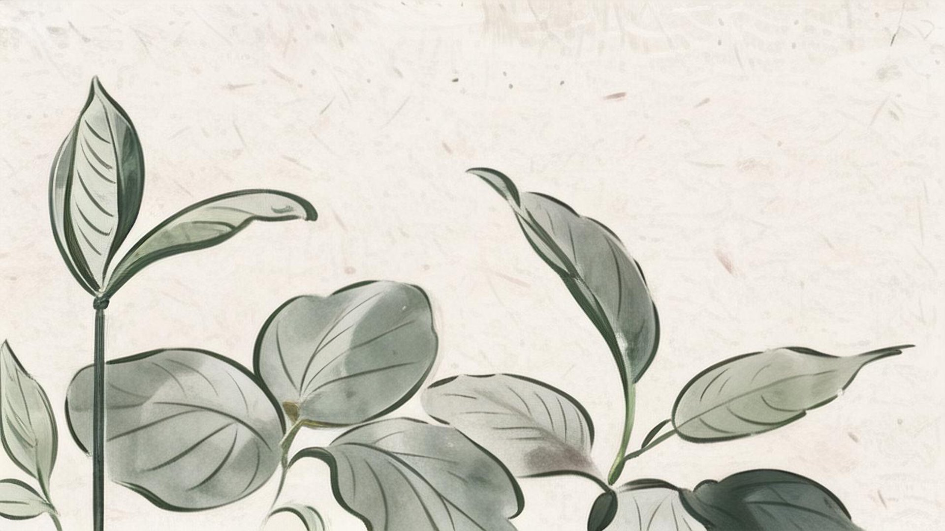 三白不染茶业