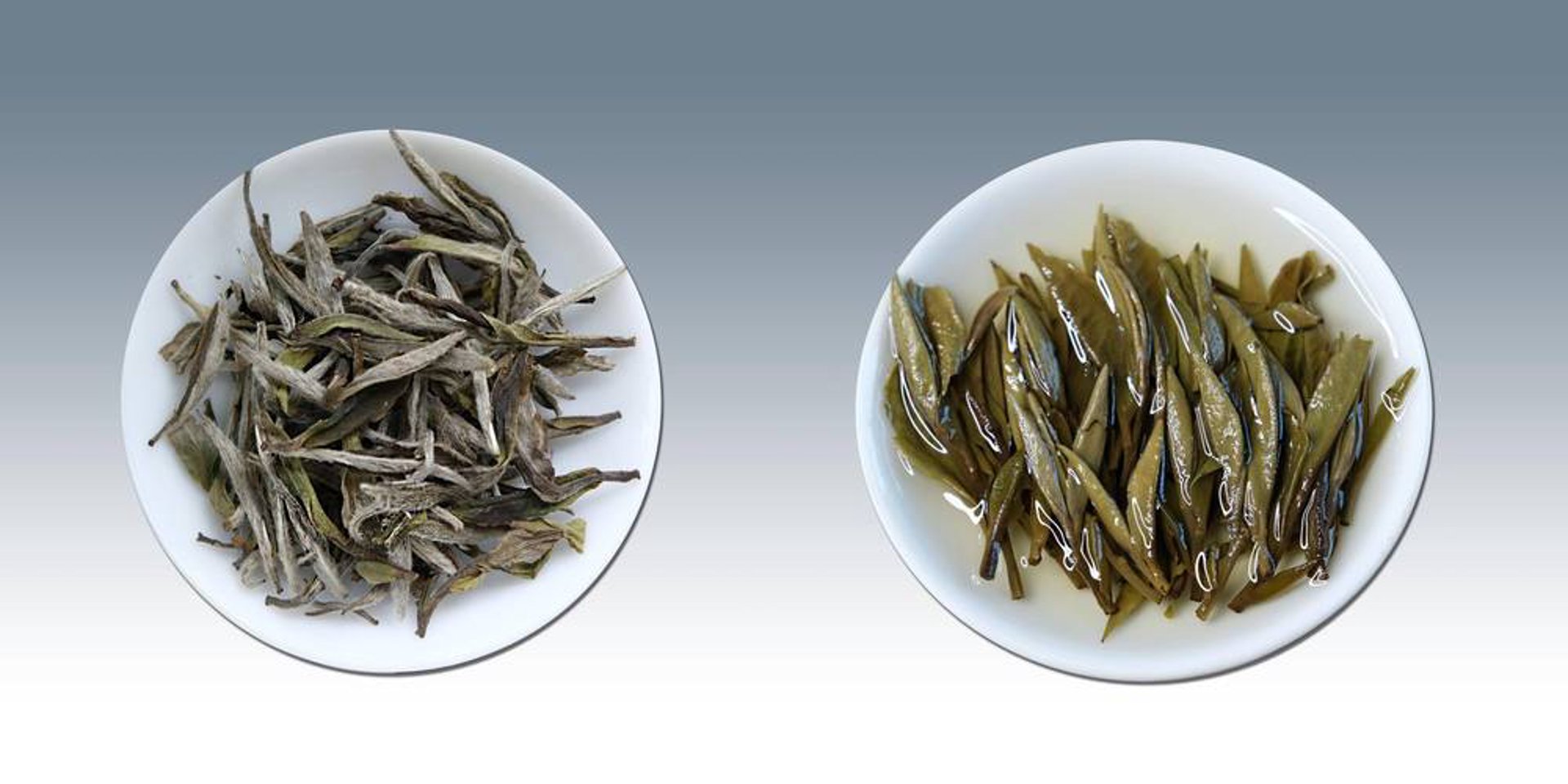 三白不染茶业